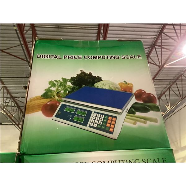 DIGITAL PRICE COMPUTING SCALE