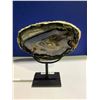 Image 1 : AGATE SLICE ON METAL STAND- AGATE SIZE APPROX 8X5"-RETAIL $2498.51