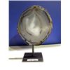 Image 1 : AGATE SLICE ON METAL STAND- AGATE SIZE APPROX 7X7.5- RETAIL $1498.51