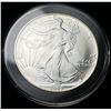 Image 1 : 1992 American Silver Eagle MS69