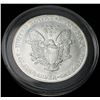 Image 2 : 1994 American Silver Eagle MS69