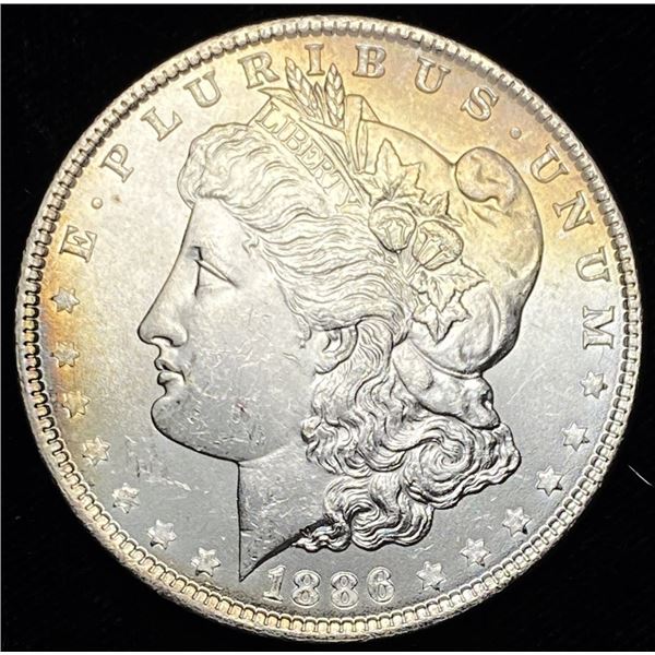 1886 Morgan Silver Dollar Toned MS63