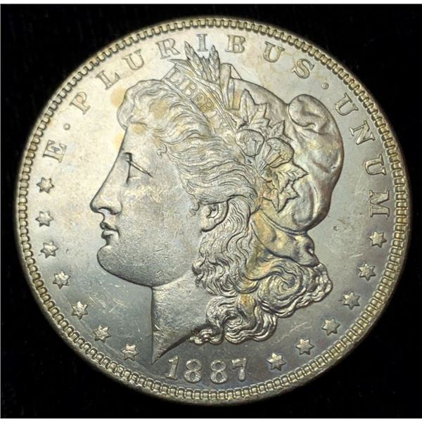 Rusty 1887 Morgan Silver Dollar MS65 Details
