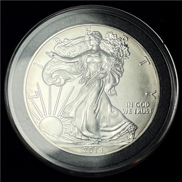2014 American Silver Eagle