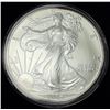 Image 1 : 2004 American Silver Eagle