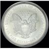 Image 2 : 2004 American Silver Eagle