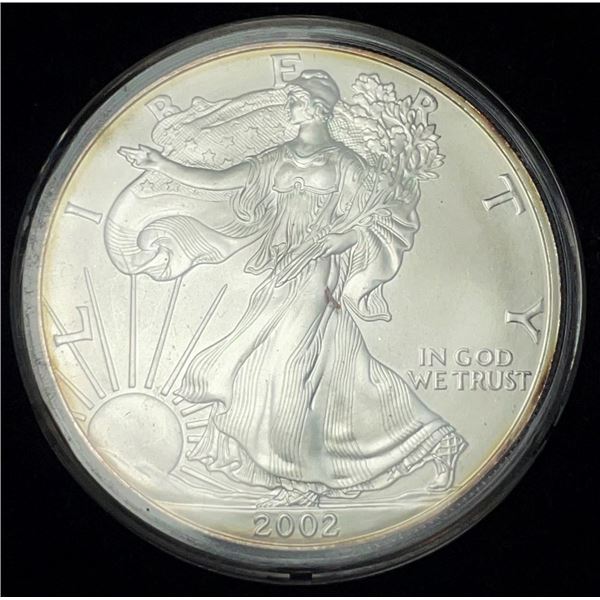 2007 American Silver Eagle