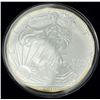 Image 1 : 2010 American Silver Eagle