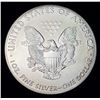 Image 2 : 2019 American Silver Eagle