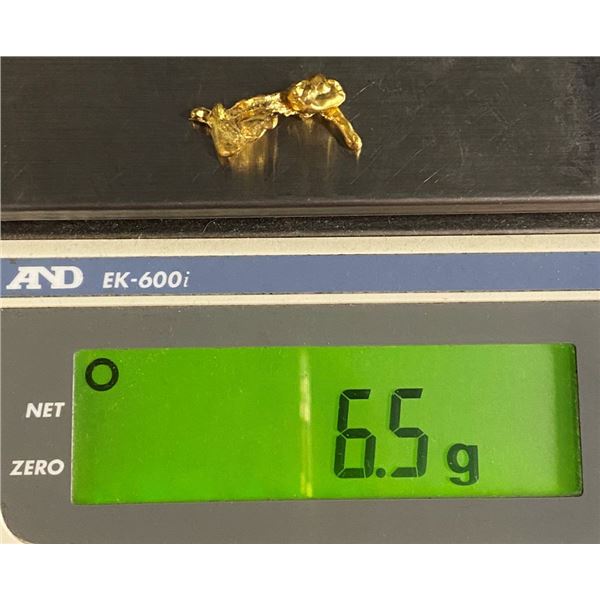6.5 Gram Newmont Mining Gold Splatter
