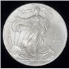 Image 1 : 2010 American Silver Eagle