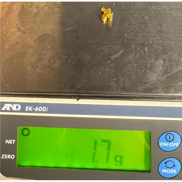 1.7 Gram Newmont Mining Gold Splatter