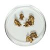 Image 1 : Gold Nuggets 2.94 Grams Total Weight