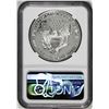 Image 2 : 1993-P $1 Proof American Silver Eagle Coin NGC PF69 Ultra Cameo