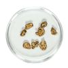 Image 1 : Gold Nuggets 2.72 Grams Total Weight