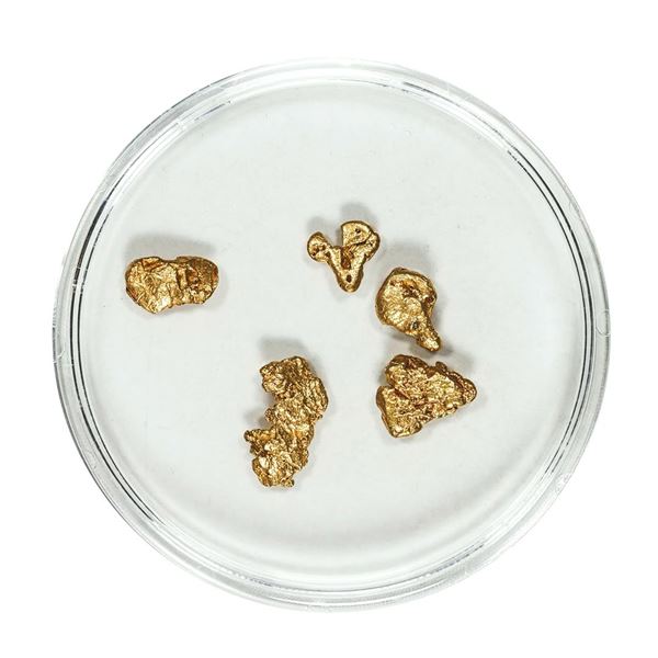Gold Nuggets 1.95 Grams Total Weight