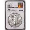 Image 1 : 2021 Type 1 $1 American Silver Eagle Coin NGC MS70 First Releases Mercanti Signed