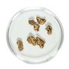 Image 1 : Gold Nuggets 2.90 Grams Total Weight