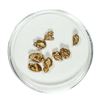 Image 1 : Gold Nuggets 3.36 Grams Total Weight