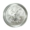 Image 3 : 2021-W Type 2 $1 Burnished American Silver Eagle Coin