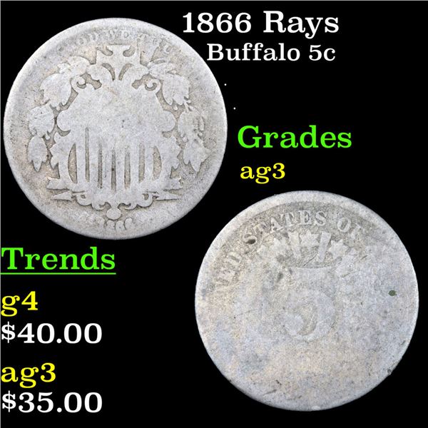 1866 Rays Buffalo Nickel 5c Grades ag3