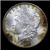 Image 2 : 1885-o Morgan Dollar $1 Grades GEM+ Unc