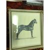 Image 7 : Large Variety of Horse Photos & Pictures, Flora Temple Wood Horse Wall Plaque & Farm/Horse Large Sto