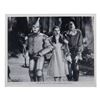 Image 8 : A Set of (19) Wizard of Oz Publicity Photos.