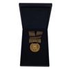 Image 2 : An Artist Proof Medal of Yavin.