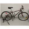 Image 1 : Ladies Tarantula Raleigh Bike 7 Speed