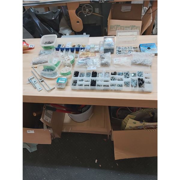 Large Assortment Of Screws & Bolts