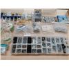 Image 4 : Large Assortment Of Screws & Bolts