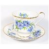 PARAGON (FS611) TEACUP AND SAUCER BLUE WILDFLOWER