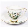 Image 1 : ROYAL GREGG TEACUP AND SAUCER