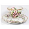 HAND PAINTED 7162 CHERRY BLOSSOM DESIGN TEACUP AND