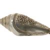Image 2 : Hilltribe Silver Handcrafted Shell (CLB-224) (CLB-224)