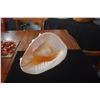 Image 4 : QUEEN HELMET CONCH SHELLS (2 PCS)