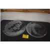 Image 1 : ETCHED GLASS PLATES (2 PCS)