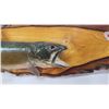 Image 2 : Trout fish mounted taxidermy - 3ft 8" long x 11"H