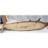 Image 5 : Trout fish mounted taxidermy - 3ft 8" long x 11"H