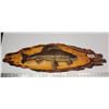 Image 1 : Taxidermy fish on wooden mount, fish has detached from the wood but still whole