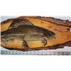 Image 2 : Taxidermy fish on wooden mount, fish has detached from the wood but still whole