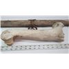 Image 5 : Wooden vintage horse pull stabilizer & animal bone - could be used to paint on