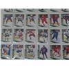 Image 2 : 54 Rookie Parkhurst Hockey Cards + Binder with extra plastic sleeves