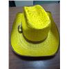 Image 2 : Minneapolis Moline Western hat