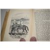 Image 4 : rare antique Crimean war book