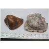 Image 1 : 2 large shells