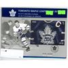 Image 1 : Premier Pane Maple Leaf's #3042