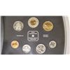 Image 3 : 1999 Canada Specimen Set