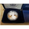 Image 2 : 2010 WP American Eagle 1 oz Proof Coin